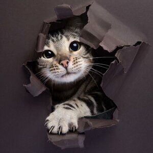 I'm not selling right now, but maybe later.....